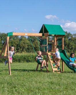 Buckley Hill Swing Set