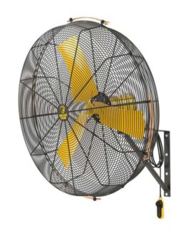 Big Ass Fans AirEye 36″ Wall Mount Fan